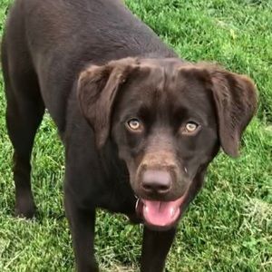 Meet your Posher, Michele